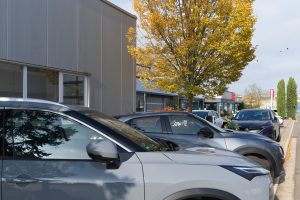 Blick auf Fahrzeuge und Baum neben dem Autohaus.